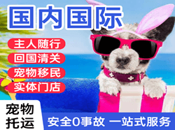 金湾航空货运国际宠物托运 【国